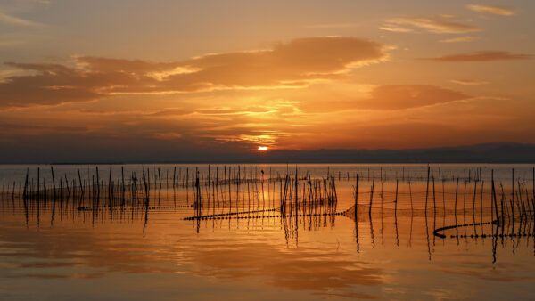 Sunset in Albufera of Valencia, Valencia, Spain.