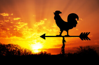 Stock Photo rooster weathervane against sunrise